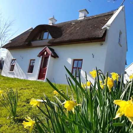 Donegal Thatched Cottage *