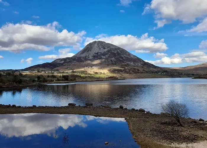 펜션 Donegal Thatched